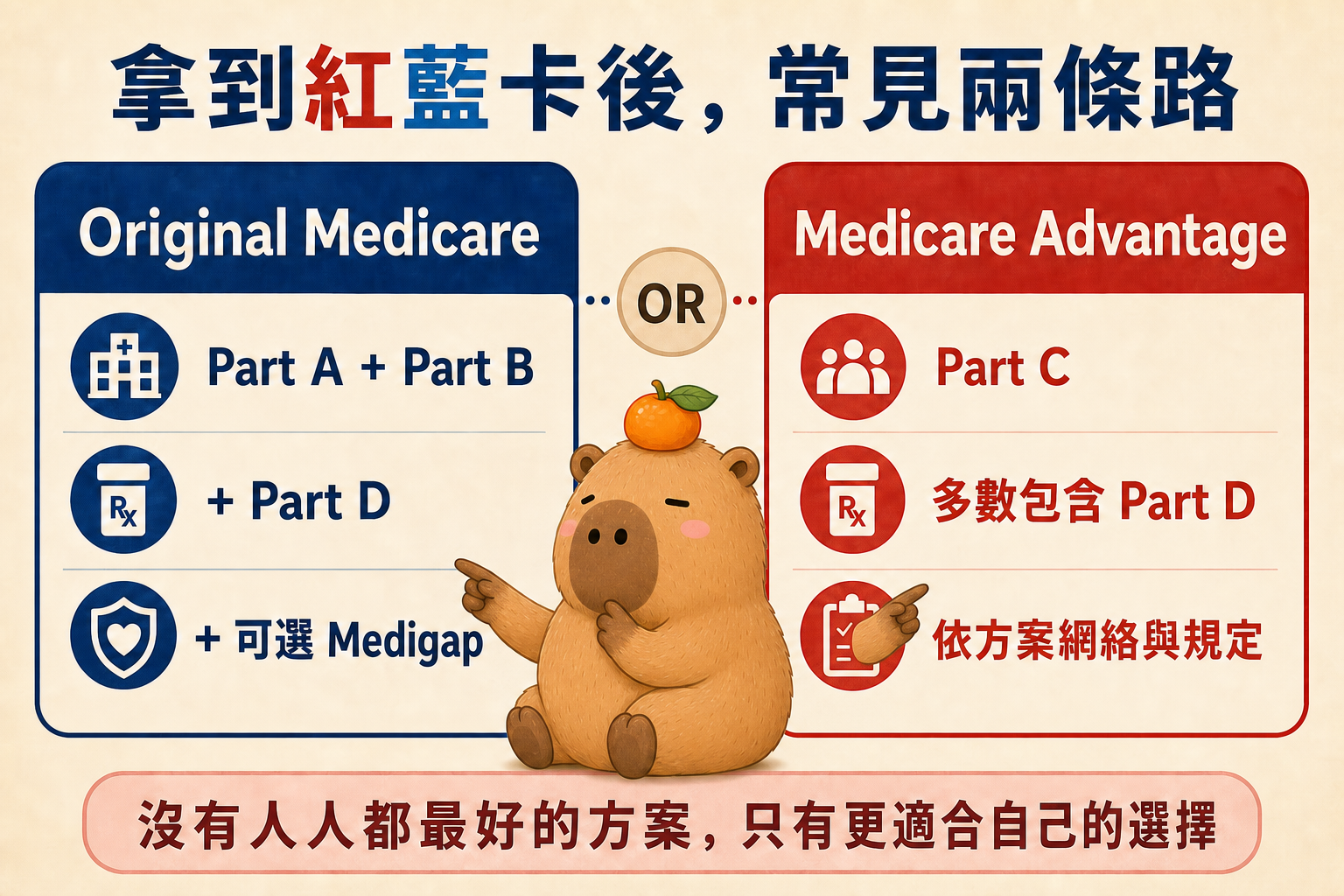原文 Medicare 101 圖解 1