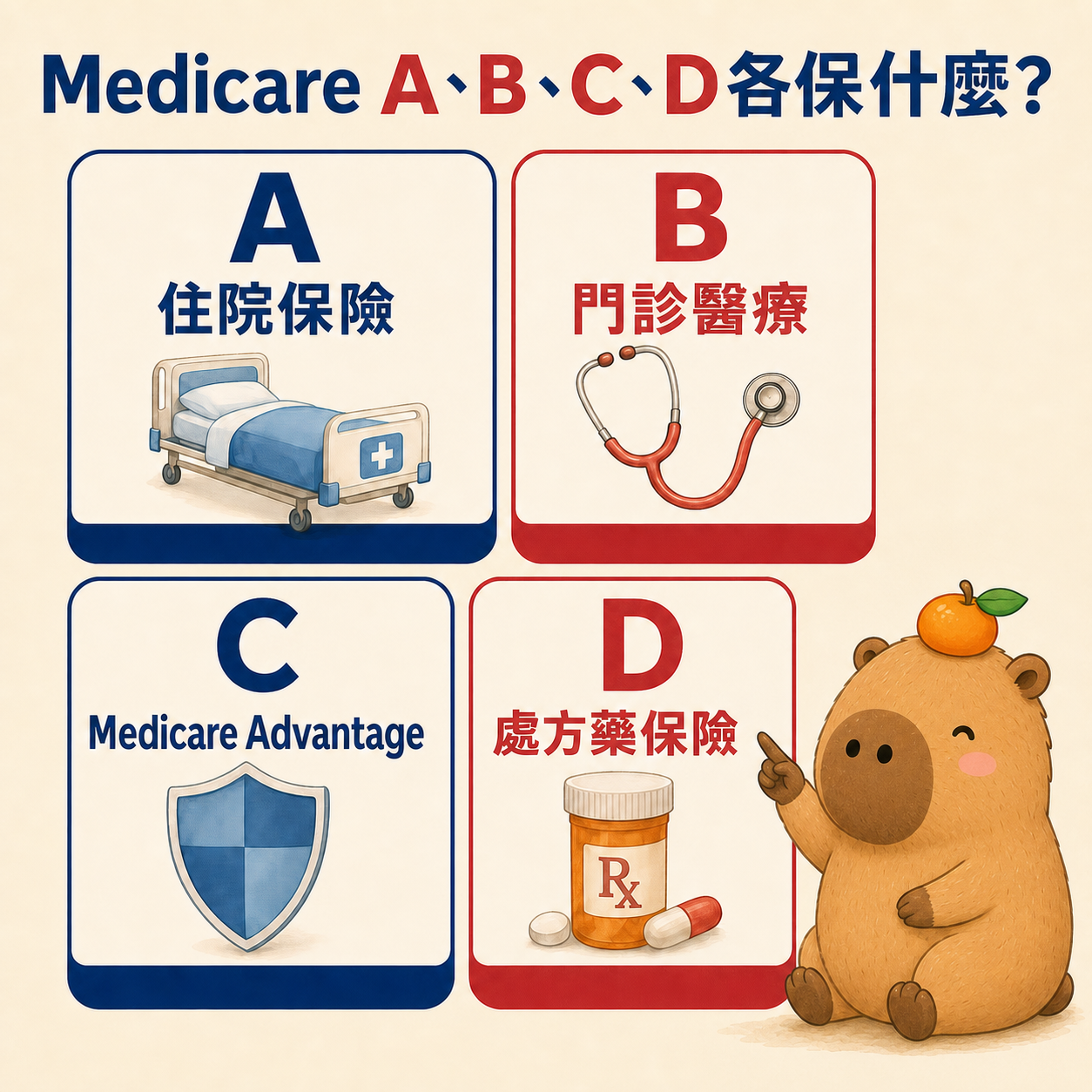 原文 Medicare 101 圖解 3